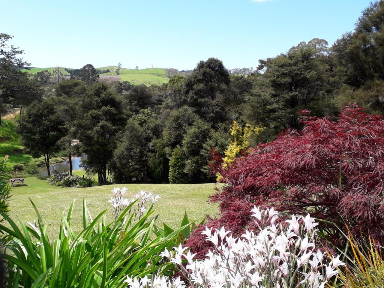 Morepork Riverside Lodge Paihia Exterior foto